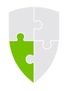 DealSafe shield mark with the Training and Audit piece highlighted